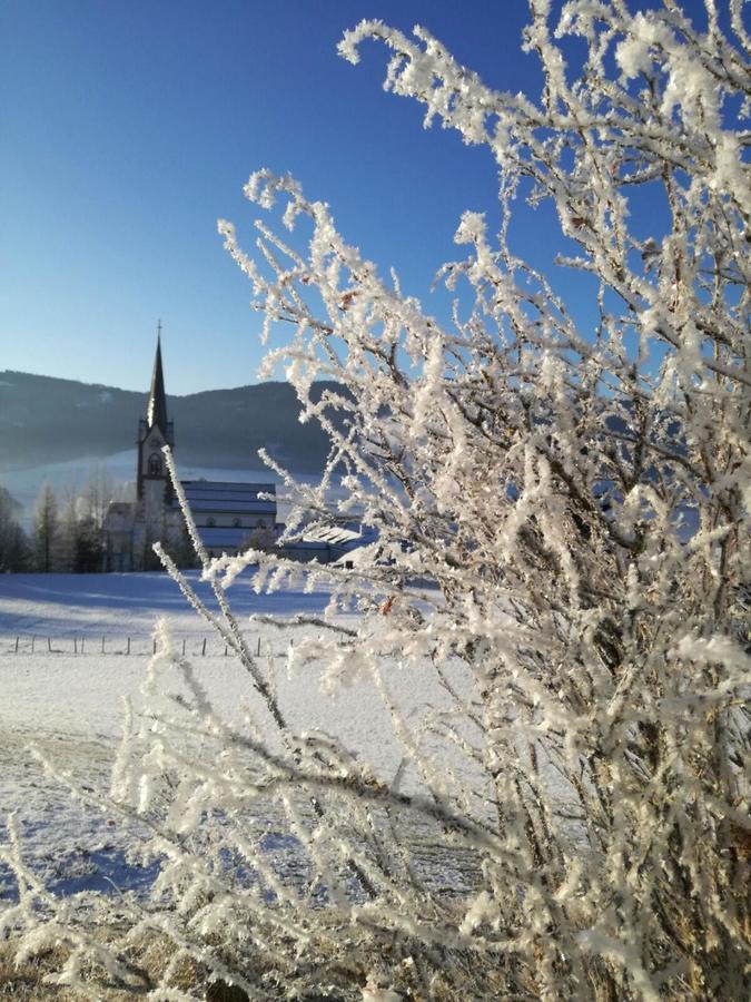 Appartementhaus Novak * Mariapfarr